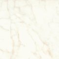 Плитка Atlas Concorde Marvel Shine Calacatta Delicato Lappato 60 * 60 (A4QS) Atlas Concorde Для кухні, Для громадських приміщень, Для житлових приміщень, Для ванної