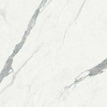 Плитка Fondovalle Infinito 2.0 Statuario Natural 120*120 (INF724) Для кухни, Для общественных помещений, Для жилых помещений, Для ванной