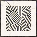 Плитка Imola Ceramica The Room ZEBRA6 120LP 120x120 Для кухни, Для общественных помещений, Для жилых помещений, Для ванной