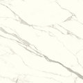 Плитка Ariostea Ultra Marmi Bianco Statuario LUCIDATO SHINY 150x150 (UM6L150583) Для кухни, Для общественных помещений, Для жилых помещений, Для ванной