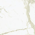 Плитка Ariostea Ultra Marmi Bianco Calacatta SOFT 120x120 (UM6S120536) Для кухни, Для общественных помещений, Для жилых помещений, Для ванной
