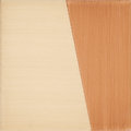 Плитка Ceramica Bardelli Tangram 1 20x20 Для кухни, Для общественных помещений, Для жилых помещений, Для ванной
