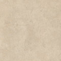 Плитка Mirage Elysian Gold Catalan EY 09 800x800 (BAO6) Для вулиці