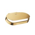 Бумагодержатель с крышкой Grohe Selection, холодный рассвет матовый (41069GN0) Бумагодержатели Grohe