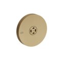 Боковой душ с распылителем Gessi Gessi316, Warm Bronze Br. PVD (32977-726) Боковые души (форсунки) Матовая бронза PVD