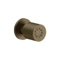 Поворотный боковой душ Gessi Gessi316, Antique Brass (13375-713) Боковые души (форсунки) античная латунь