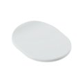Сиденье с крышкой для унитаза ArtCeram Chic SoftClose, Matte white/gold (CHA001 05;73) 
