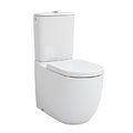 Чаша унитаза-компакта ArtCeram File 2.0, Matte white (FLV003 05;00) Напольные Без бачка (отдельно)