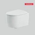 Підвісний безободковий унітаз ArtCeram Monet, Matte white (MNV001 05; 00) Підвісні 