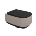 Подвесной безободковый унитаз Flaminia Flag Goclean, с сиденьем Soft Close, Argilla/Carbone (FG118GSAC+FGCW03CAR) Подвесные 