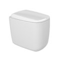 Унитаз напольный безободковый Flaminia Mono Gosilent, с сиденьем Soft Close, White (MN117S+MNCW03) Напольные 