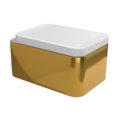 Подвесной безободковый унитаз Flaminia Nile Goclean, с сиденьем Soft Close, White/Gold (NL118GOR+NLCW03) Подвесные 