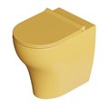 Унитаз напольный безободковый Alice Ceramica UNICA 55, с сиденьем Soft Close, Miele grossy (32200196 FT+MC2296ES) Напольные 