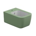Подвесное биде GSG Brio, Bicolore salvia satinato (BRBISO BI 000 031+ACS40) Подвесные Белый/Светло-зеленый