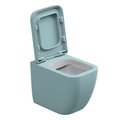 Унитаз напольный безободковый GSG Brio, с сиденьем Soft Close, Bicolore ice satinato (BRWC01 BI 000 037+ACS51+BRCOPRSLTICR 037) Напольные 