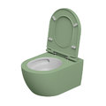Унитаз подвесной безободковый GSG Like, с сиденьем Soft Close, Bicolore salvia satinato (LKWCSOEC BI 000 031+ACS40+LKCOPRSLTICR 031) Подвесные 