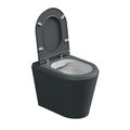 Унитаз напольный безободковый GSG Cruise, с сиденьем Soft Close, Bicolore ebano satinato (CRWC01 BI 000 028+ACS51+CRCOPRSLTICRCN 028) Напольные 