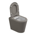 Унітаз підлоговий безободковий GSG Cruise, із сидінням Soft Close, Bicolore cashmere satinato (CRWC01 BI 000 030+ACS51+CRCOPRSLTICRCN 030) Підлогові 