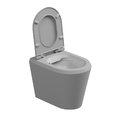 Унитаз напольный безободковый GSG Cruise, с сиденьем Soft Close, Bicolore perla satinato (CRWC01 BI 000 033+ACS51+CRCOPRSLTICRCN 033) Напольные 