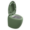 Унітаз підлоговий безободковий GSG Touch, із сидінням Soft Close, Bicolore salvia satinato (TOWC01SC BI 000 031+ACS51+TOCOPRTICR 031) Підлогові 