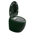Унитаз напольный безободковый GSG Touch, с сиденьем Soft Close, Bicolore smeraldo satinato (TOWC01SC BI 000 036+ACS51+TOCOPRTICR 036) Напольные 