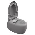 Унитаз подвесной безободковый GSG Touch, с сиденьем Soft Close, Bicolore fumo satinato (TOWCSOSC BI 000 038+ACS40+TOCOPRTICR 038) Подвесные 