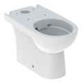 Унитаз напольный безободковый, без бачка, Rimfree, Geberit Selnova, белый (500.488.01.7) Напольные 