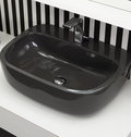 Керамическая раковина 54 см Flaminia Mono 54, black (MN54L) На столешницу, Подвесные Прямоугольные
