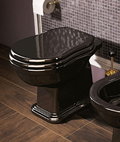 Напольный унитаз Flaminia Efi Plus, black (EF117R) Напольные 