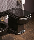 Напольный унитаз Flaminia Efi, black (6011) Напольные 