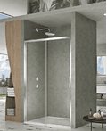 Душевая дверь Duka NATURA 4000 140 см (AR-ST2N L 1400) двери Раздвижные 
