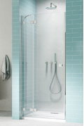 Душевая дверь Radaway Essenza Pro DWJ 120 L (10099120-01-01L) двери Распашные наружу тон стекла Прозрачное 