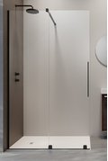 Душевая перегородка Radaway Furo Black Walk-in 120L (10106638-54-01L+10110594-01-01) walk-in Прозоре