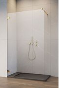 Душевая перегородка Radaway Essenza Pro Gold Walk-in 55 см (10103055-09-01) walk-in Прозрачное