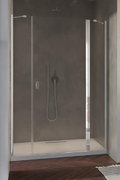 Душевая дверь Radaway Nes DWJS 120 R (10038120-01-01R) двери Распашные внутрь, Распашные наружу тон стекла Прозрачное 
