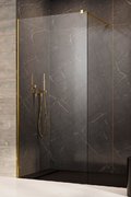 Душевая перегородка Radaway Modo New Gold II 65 см (389065-09-01) walk-in Прозрачное