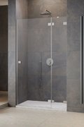 Душевая дверь Radaway Essenza Pro Brushed Nickel DWJ 110 R (10099110-91-01R) двери Распашные наружу тон стекла Прозрачное 