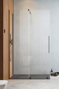 Душевая перегородка Radaway Furo Brushed GunMetal Walk-in 150L (10106788-92-01L+10110744-01-01) walk-in Прозрачное