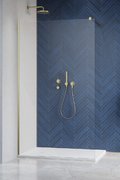 Душевая перегородка Radaway Modo New Brushed Gold II 150 см (389154-99-01) walk-in Прозоре