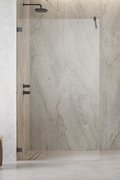 Душевая перегородка Radaway Essenza Pro Brushed GunMetal Walk-in 60 см (10103060-92-01) walk-in Прозрачное