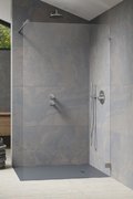 Душевая перегородка Radaway Essenza Pro Brushed Nickel Walk-in 155 см (10103155-91-01) walk-in Прозоре