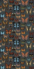 Плитка Abk Wide&Style Papillon Digit 60*120 (0003735) Для кухни, Для общественных помещений, Для жилых помещений, Для ванной
