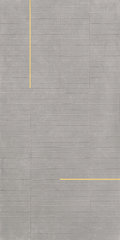 Плитка Ceramica Bardelli Lines 1D 60x120 Для кухні, Для громадських приміщень, Для житлових приміщень, Для ванної