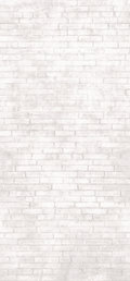 Плитка Imola Ceramica Tube BRICKLANE 260 120x260 Для кухни, Для общественных помещений, Для жилых помещений, Для ванной