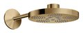 Верхний душ Axor One 280 мм 2jet, Polished Bronze (48492130) Верхние души Бронза