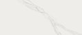 Плитка Mirage Jewels Bianco Statuario JW 01 Nat 600x1197 (TW20) Для кухни, Для общественных помещений, Для жилых помещений, Для ванной