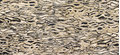 Плитка Imola Ceramica The Room GHEPARD6 260LP 120x260 Для кухні, Для громадських приміщень, Для житлових приміщень, Для ванної