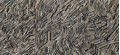 Плитка Imola Ceramica The Room SNAKE6 260LP 120x260 Для кухні, Для громадських приміщень, Для житлових приміщень, Для ванної