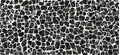 Плитка Imola Ceramica The Room TURTLE6 260LP 120x260 Для кухні, Для громадських приміщень, Для житлових приміщень, Для ванної