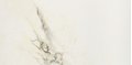 Плитка Ariostea Ultra Marmi Paonazzetto S LUCIDATO SHINY 300x150 (UM6L300382) Для кухни, Для общественных помещений, Для жилых помещений, Для ванной
